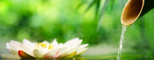 Les plus belles fontaines zen et à encens : comment les choisir ?